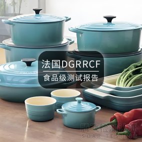 <b>法国DGRRCF</b>
